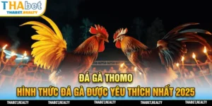 Hình thức đá gà Thomo được nhiều người tham gia nhất hàng đầu