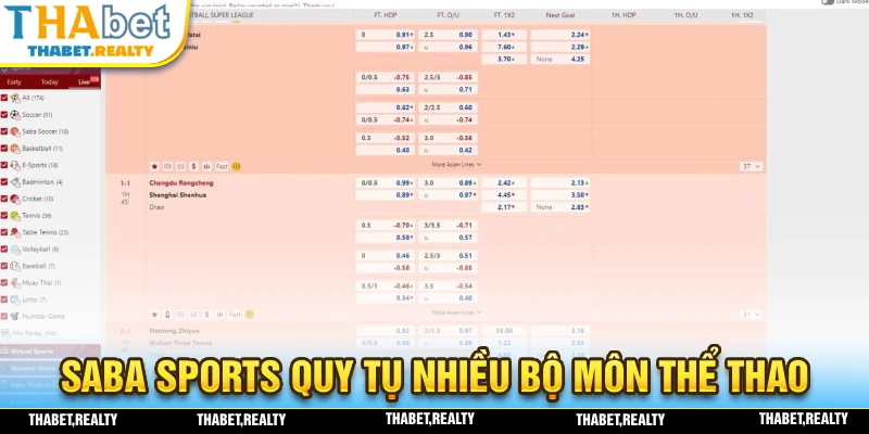 Sảnh cược hỗ trợ nhiều môn thể thao hấp dẫn