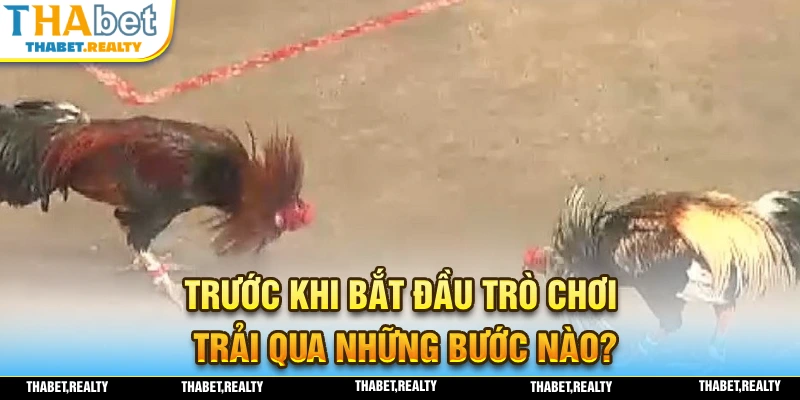 Trước khi bắt đầu trận đấu cần phải trải qua những bước nào?