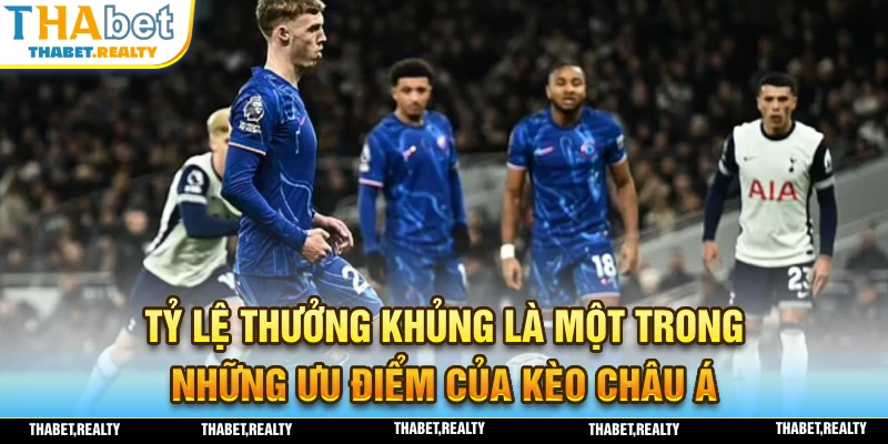 CMD Sport mang đến tỷ lệ thưởng siêu khủng